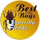 Best of the Bugs Award