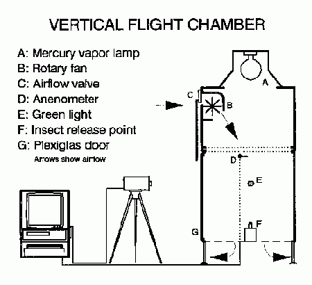 flight chamber